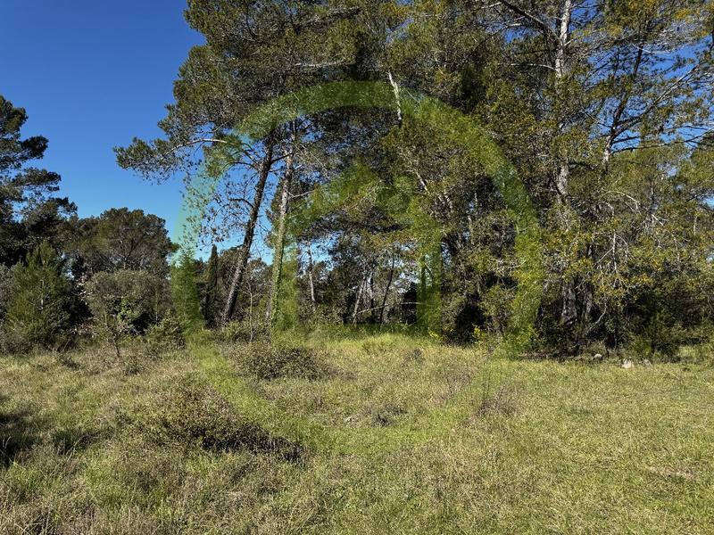 Terrain agricole - 10 000 m²