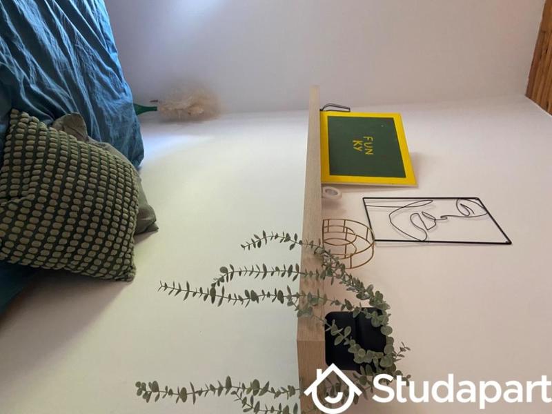 Chambre - 18 m² - 1 pièce