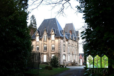 Château - 495 m² - 20 pièces
