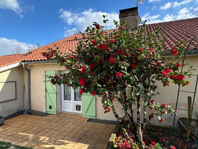 Maison en pierre - 155 m² - 5 pièces