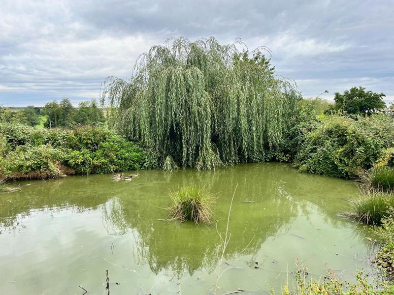 Maison - 154 m² - 6 pièces