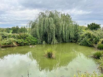 Maison - 154 m² - 6 pièces