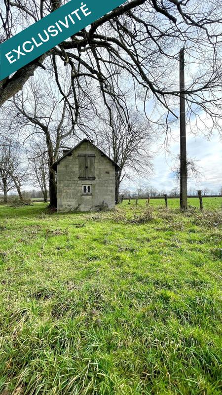 Terrain - 10 201 m²