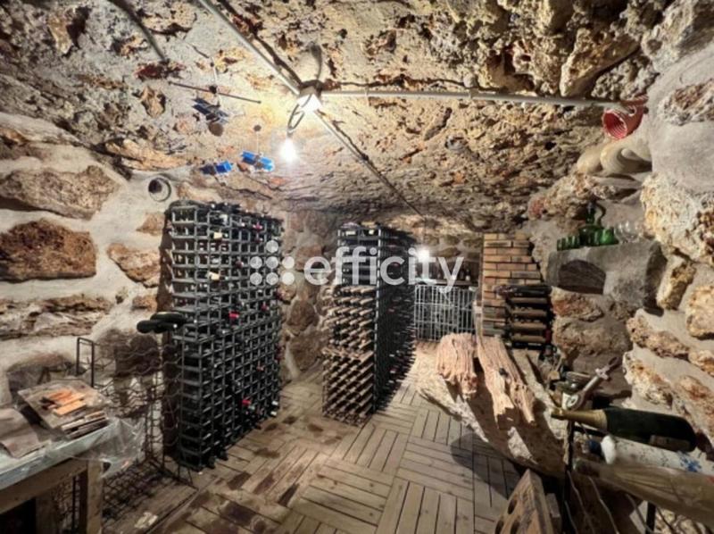 Maison - 300 m² - 9 pièces