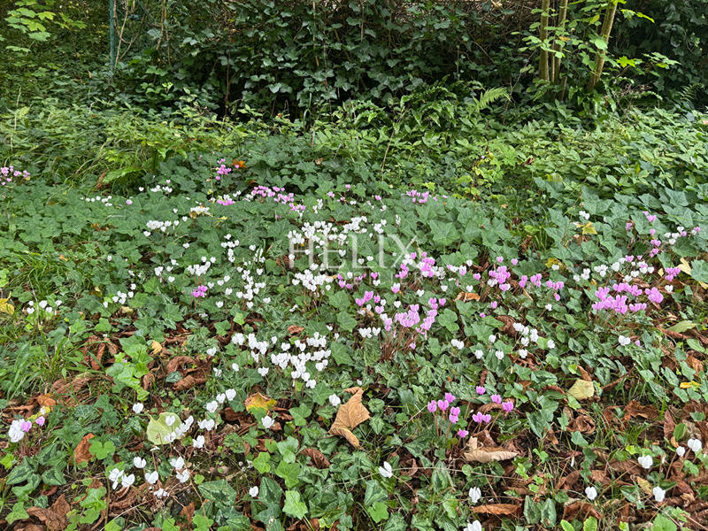 Maison - 153 m² - 7 pièces