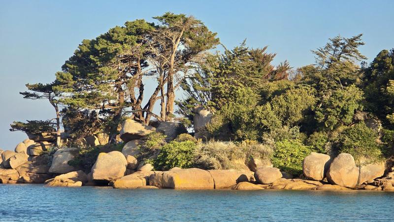 Appartement - 62 m² - 2 pièces