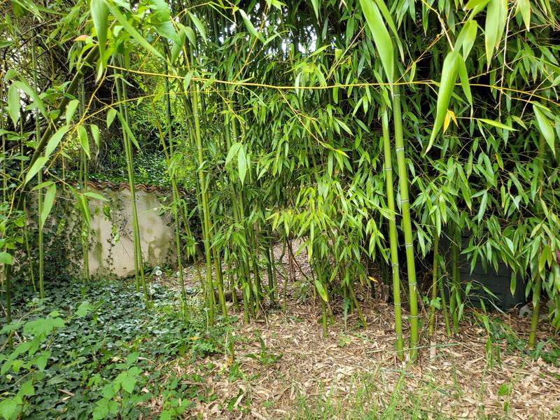 Maison - 95 m² - 6 pièces