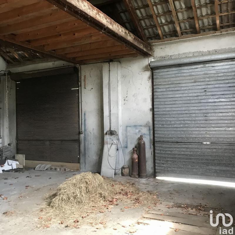 Local commercial - 590 m²