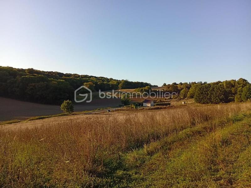 Terrain agricole - 10 469 m²