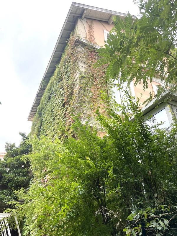 Maison bourgeoise - 330 m² - 10 pièces