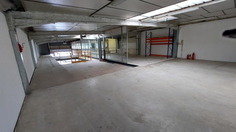 Local commercial - 538 m²