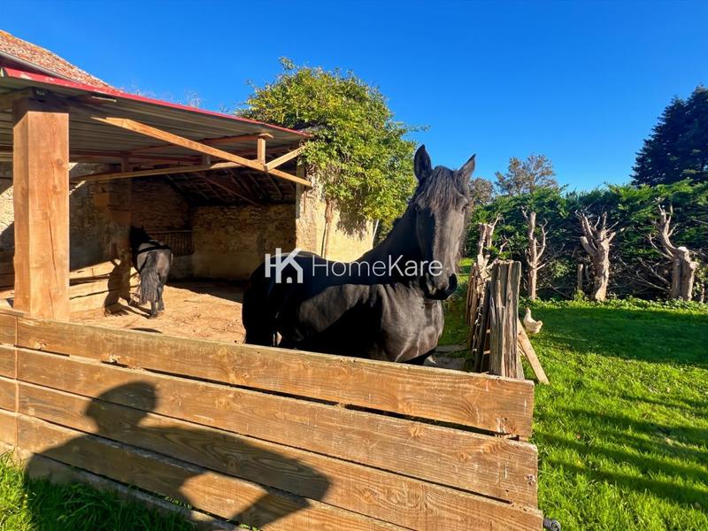 Maison - 187 m² - 6 pièces