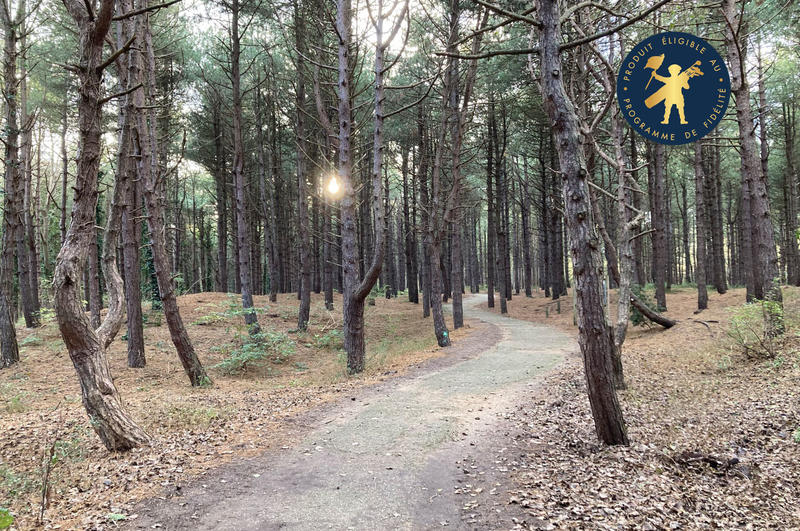 Visite guidée - Grande balade "Entre mer et forêt"
