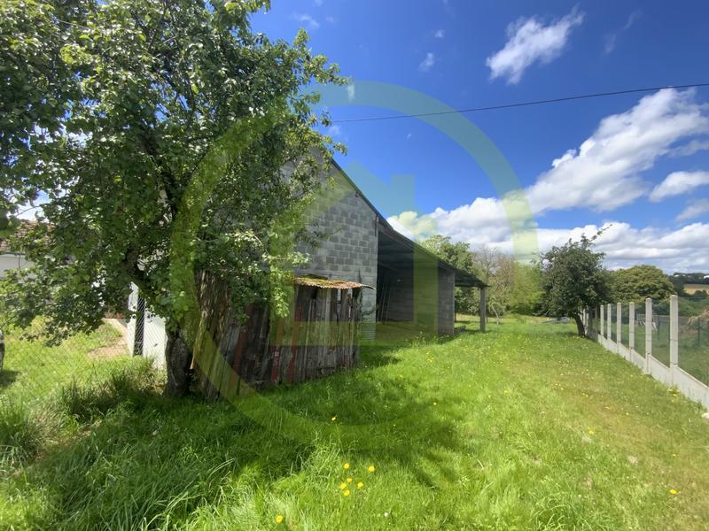 Bureau - 100 m² - 3 pièces