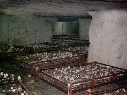 Cave Champignonnière des Roches et Ville Souterraine