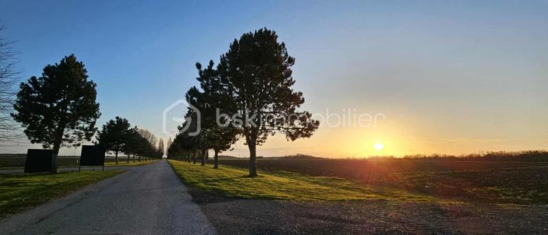 Immeuble - 700 m² - 20 pièces