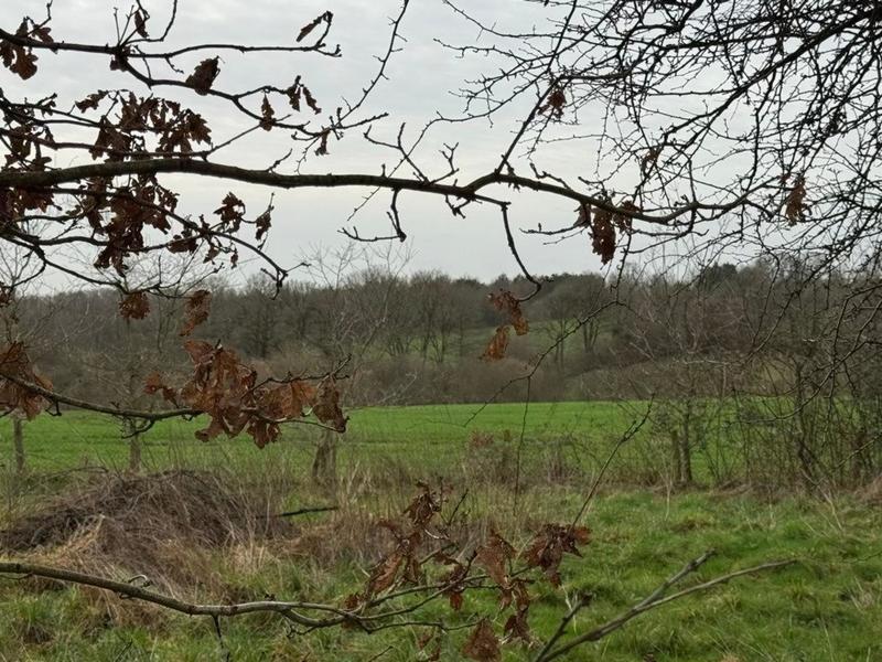 Maison - 144 m² - 5 pièces