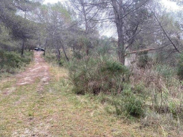 Terrain inconstructible - 11 915 m²