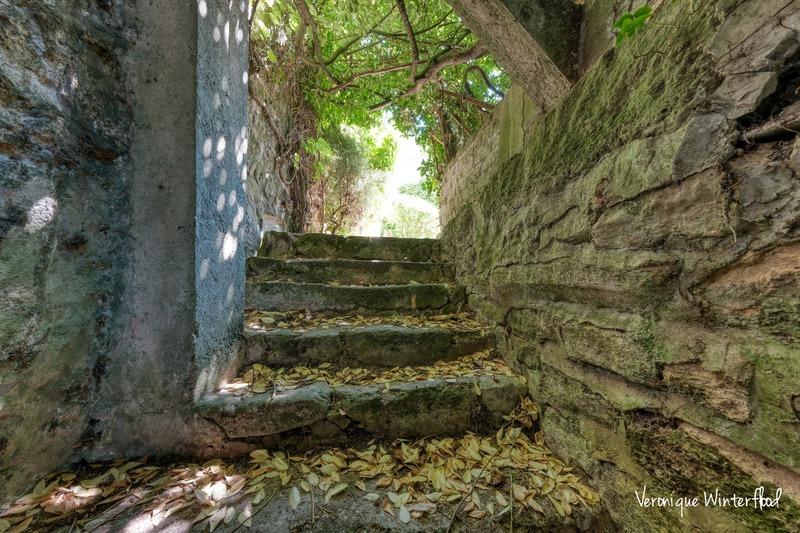 Demeure - 231 m² - 8 pièces