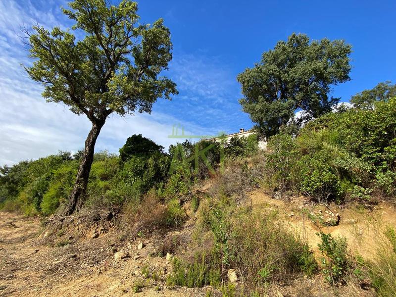 Villa - 120 m² - 4 pièces