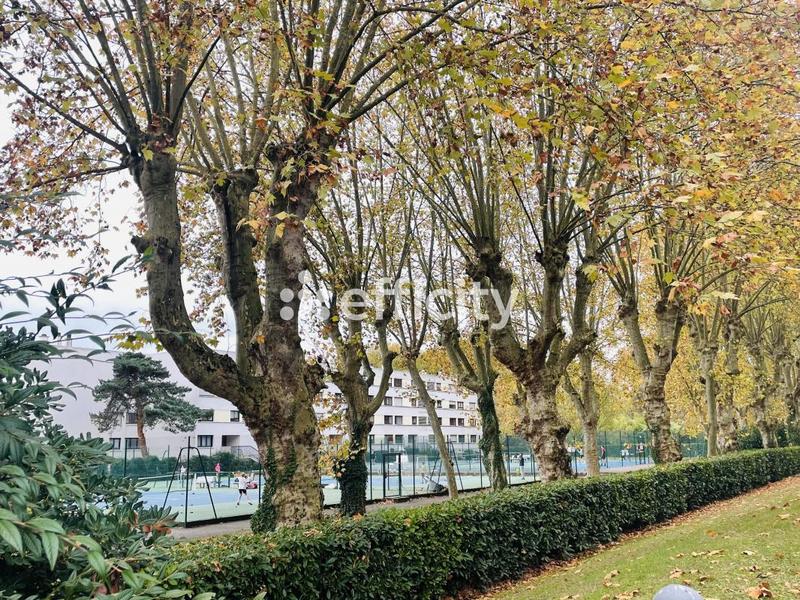 Appartement - 53 m² - 2 pièces