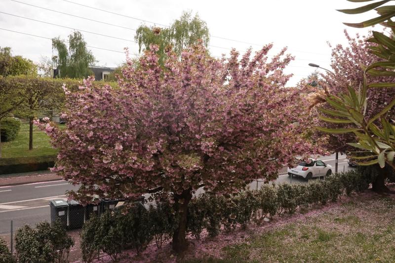 Appartement - 77 m² - 4 pièces