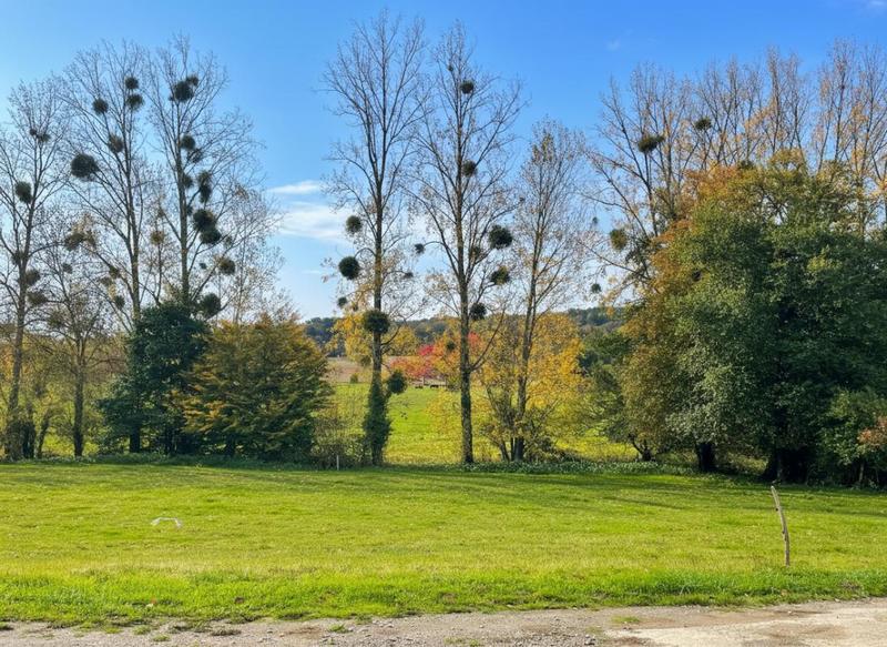 Propriété - 141 m² - 6 pièces