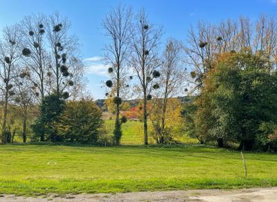 Propriété - 141 m² - 6 pièces