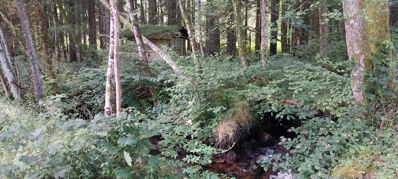 Terrain de loisirs - 3 045 m²