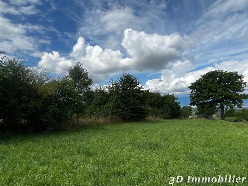 Maison - 450 m² - 10 pièces