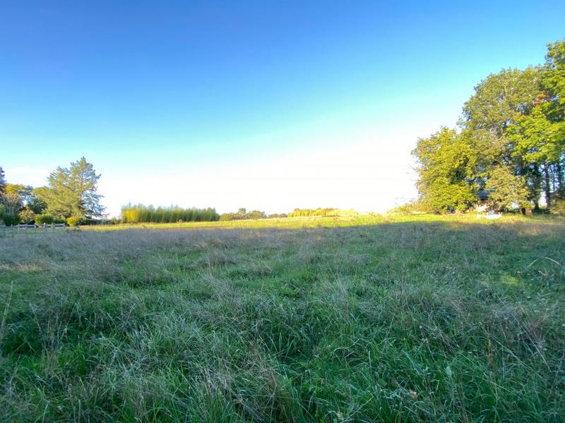 Terrain constructible - 2 000 m²