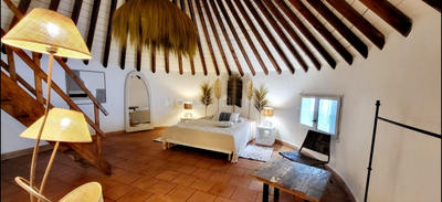 Mas - 580 m² - 20 pièces