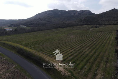 Terrain agricole - 17 985 m²