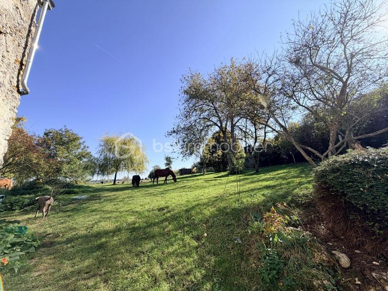 Maison ancienne - 192 m² - 7 pièces