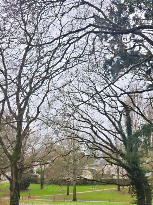 Appartement ancien - 47 m² - 2 pièces