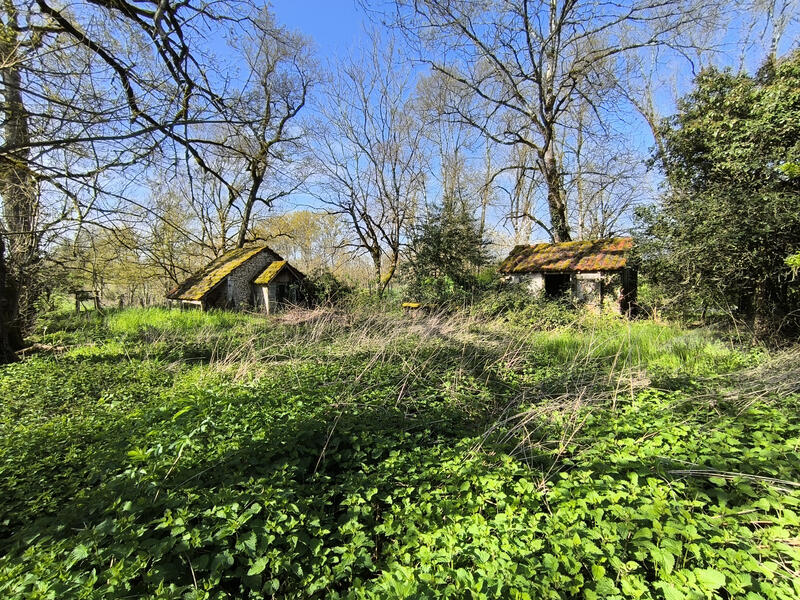 Maison - 142 m² - 6 pièces