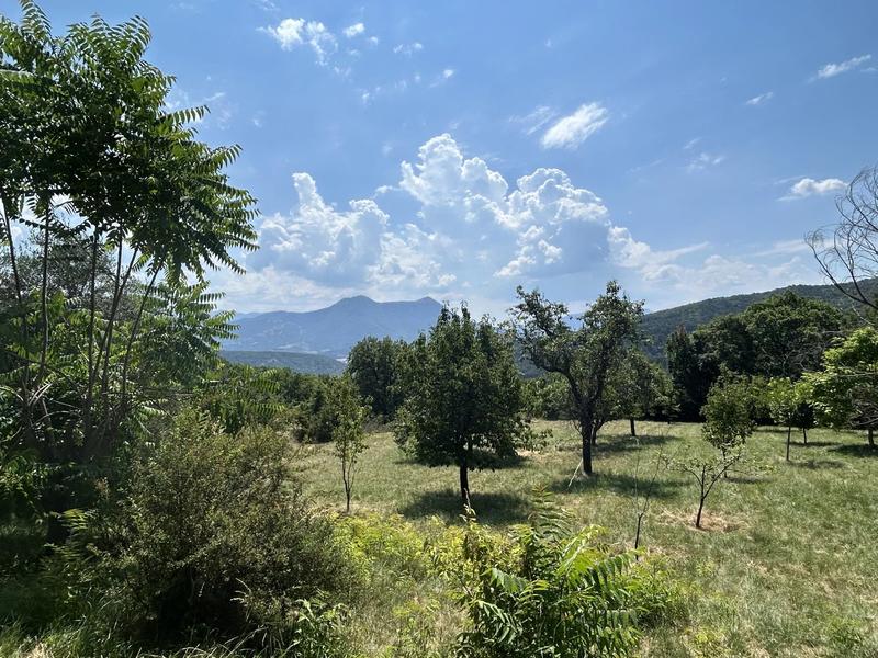 Maison - 335 m² - 13 pièces