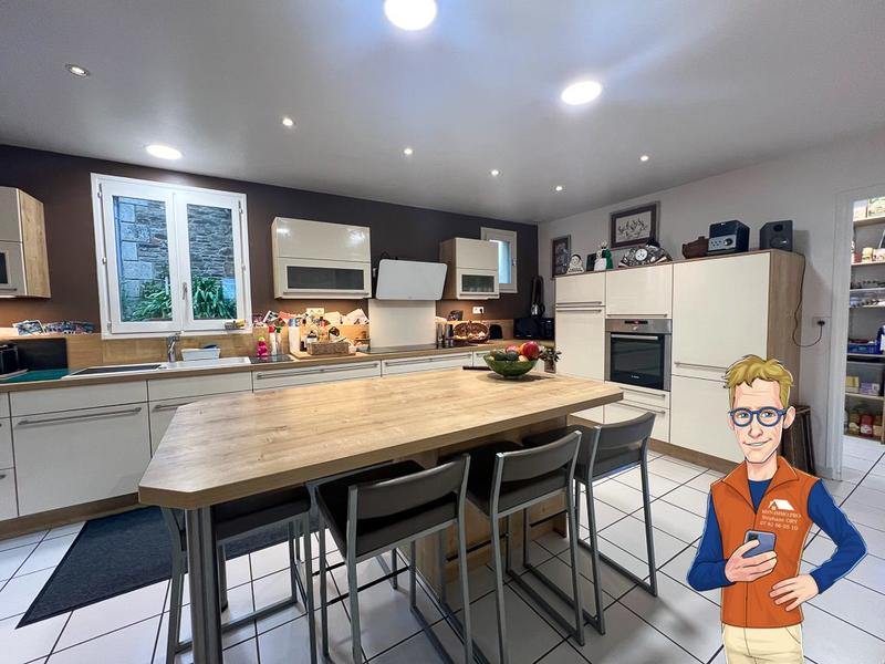 Maison ancienne - 295 m² - 7 pièces