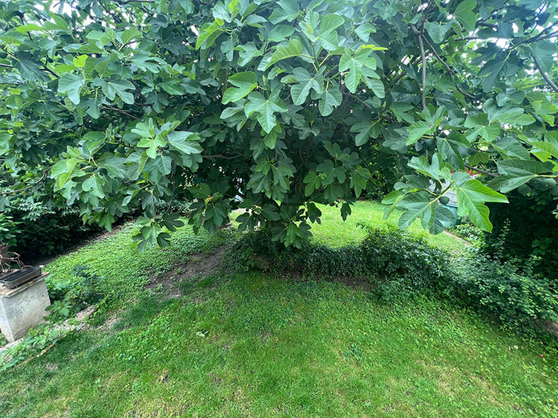 Maison - 140 m² - 8 pièces