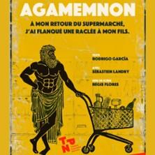 Agamemnon, à mon Retour du Supermarché j'ai Flanqué une Raclée à mon Fils