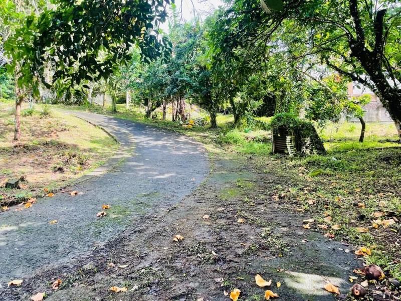 Villa - 124 m² - 4 pièces