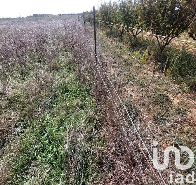 Terrain agricole - 6 635 m²