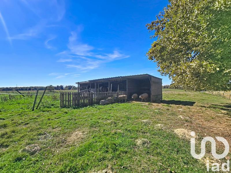 Maison de campagne - 130 m² - 6 pièces