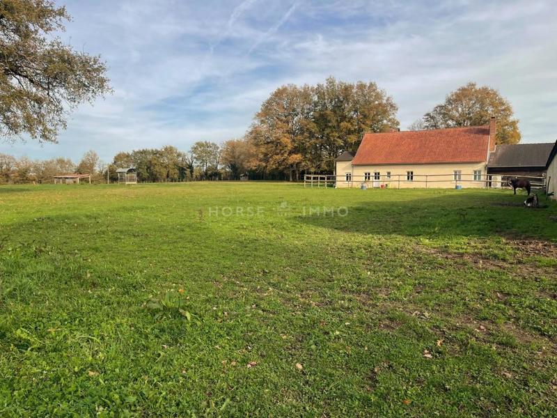 Maison de domaine équestre - 134 m² - 3 pièces