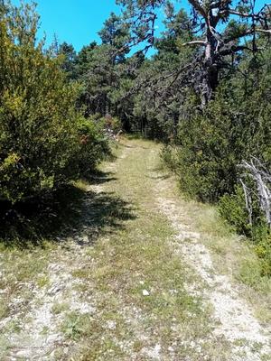 Terrain - 11 570 m²