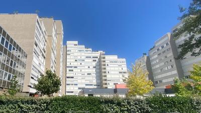 Studio - 20 m² - 1 pièce