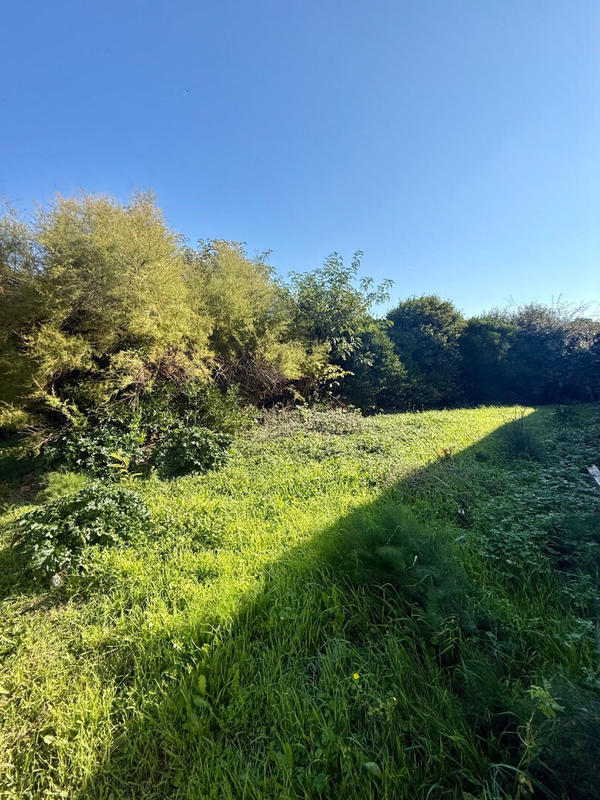 Maison - 46 m² - 2 pièces