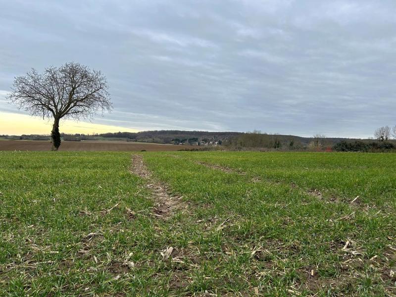 Terrain constructible - 300 m²