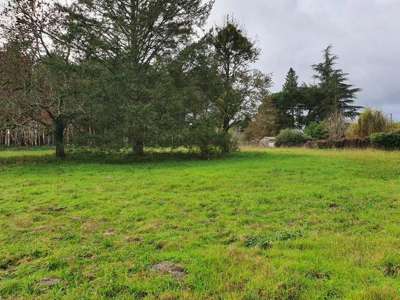 Terrain constructible - 450 m²