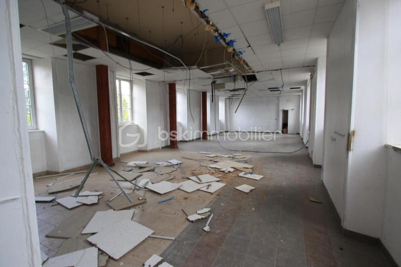 Château - 2 595 m² - 26 pièces